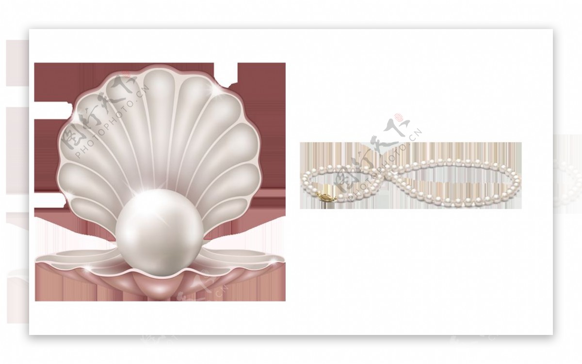 手绘贝壳珍珠免抠png透明图层素材