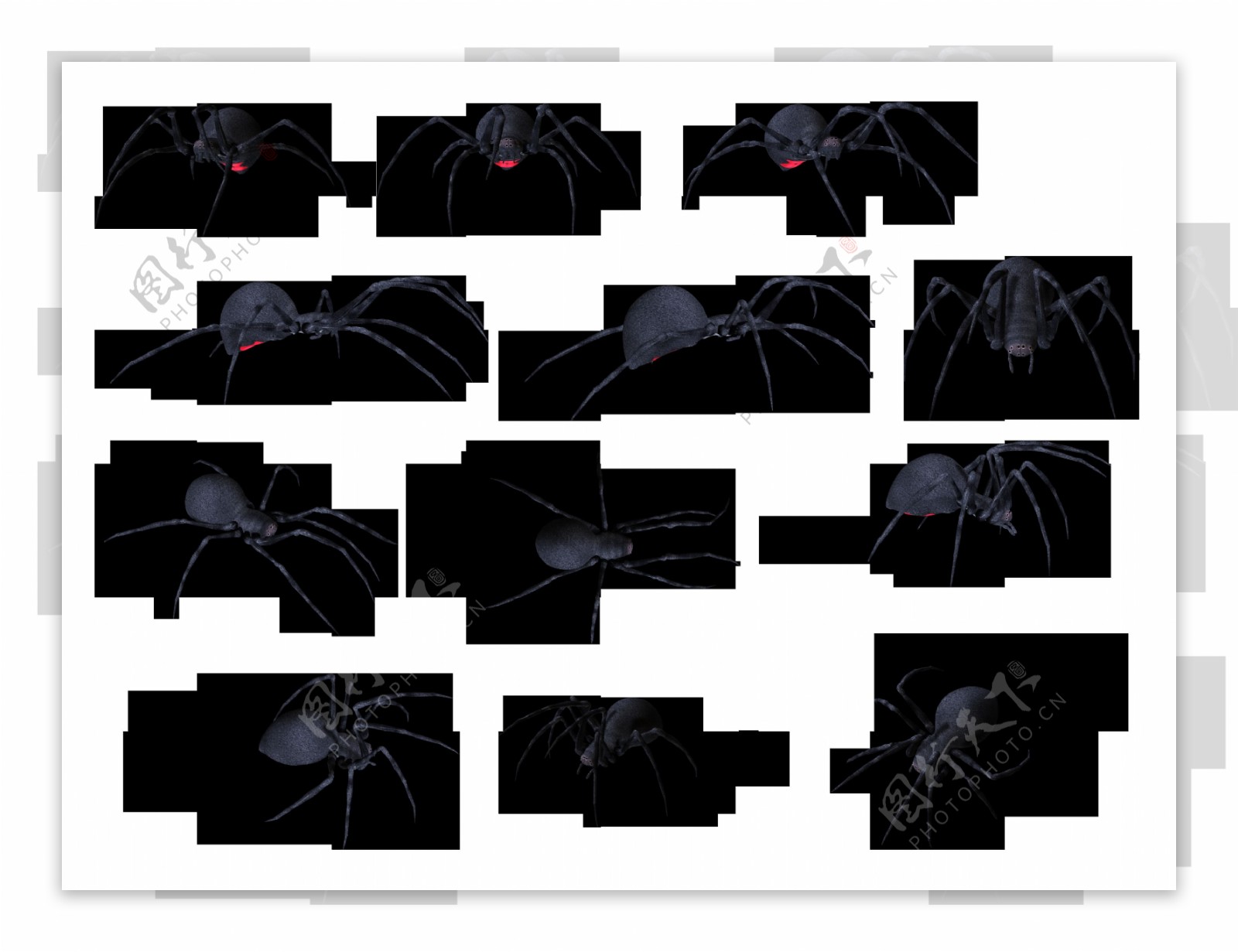 一群大蜘蛛免抠png透明图层素材