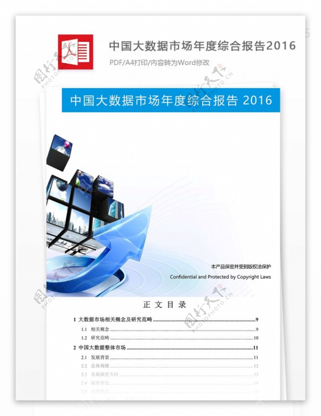 中国大数据市场年度综合报告的格式范文
