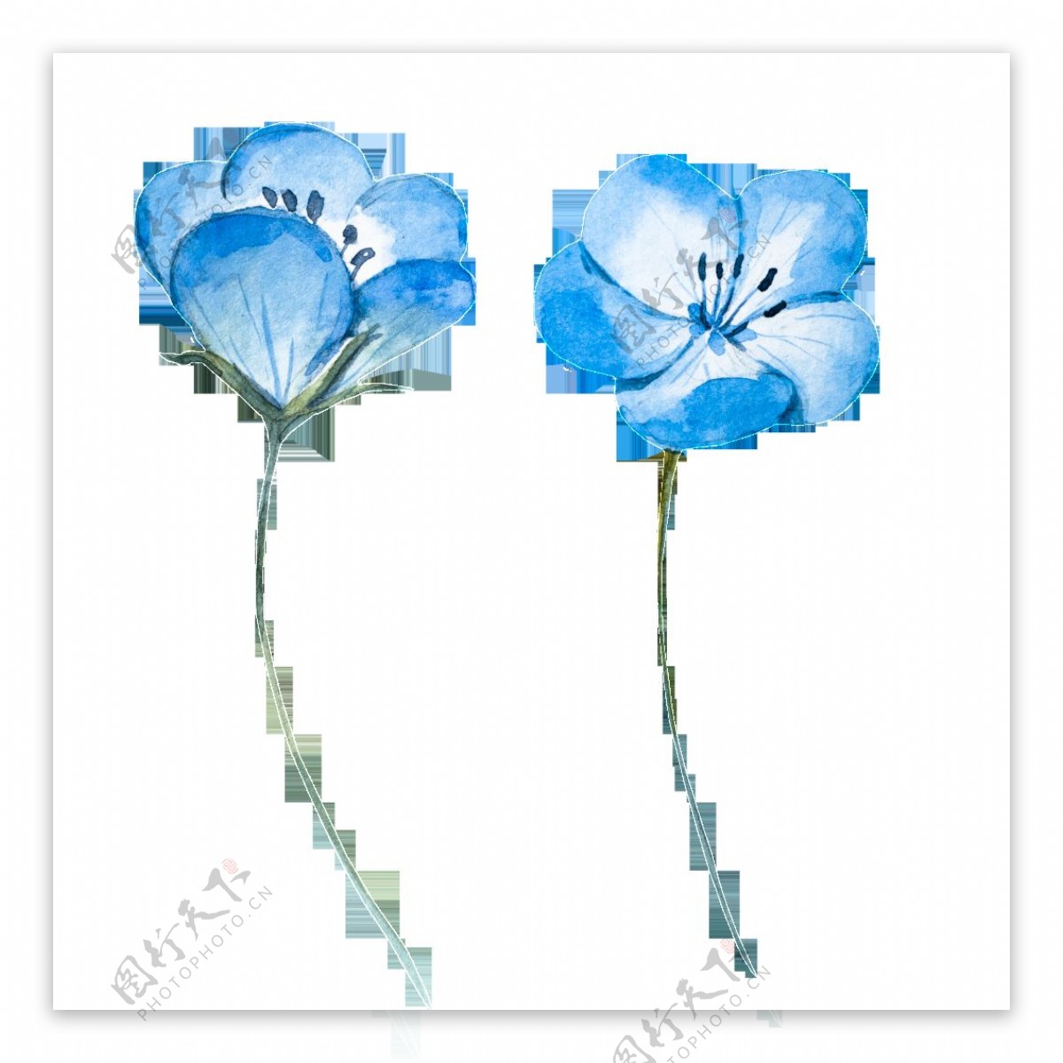 卡通蓝色花卉透明素材