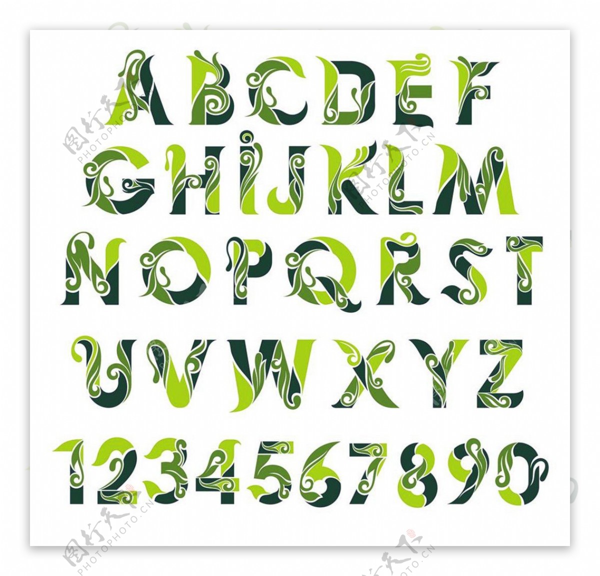 绿色花纹字母字体图片