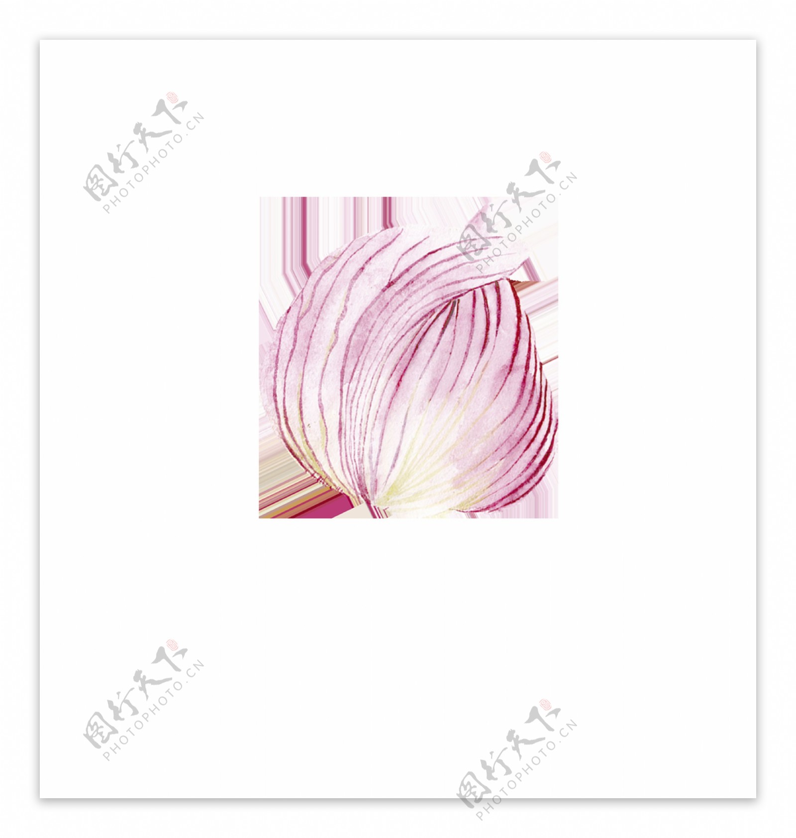 含苞待放粉色花卉卡通透明装饰素材