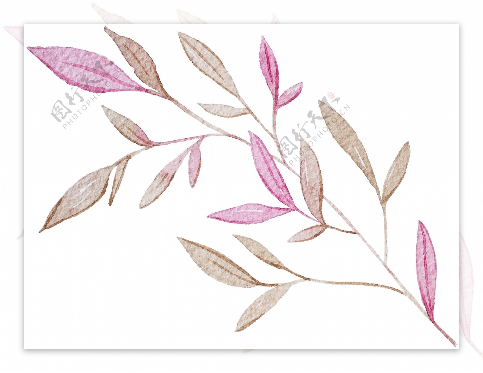 紫红枝叶卡通透明装饰素材