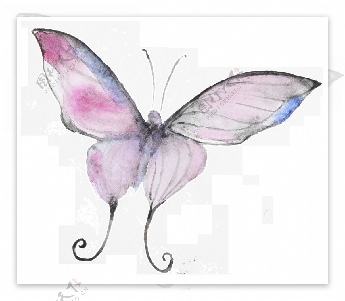 艺术蝴蝶卡通透明装饰素材