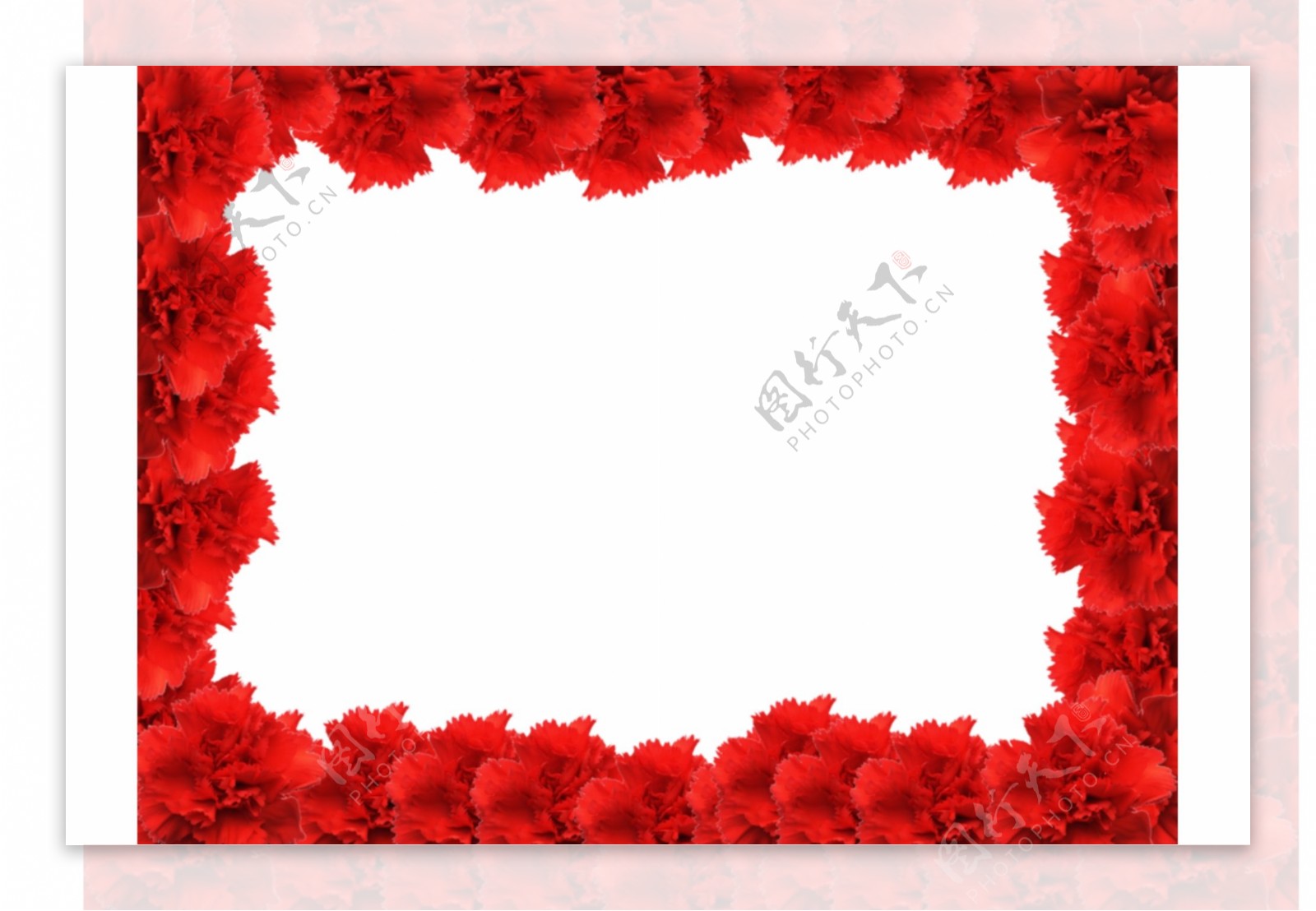 红色玫瑰花卉边框免抠psd透明素材