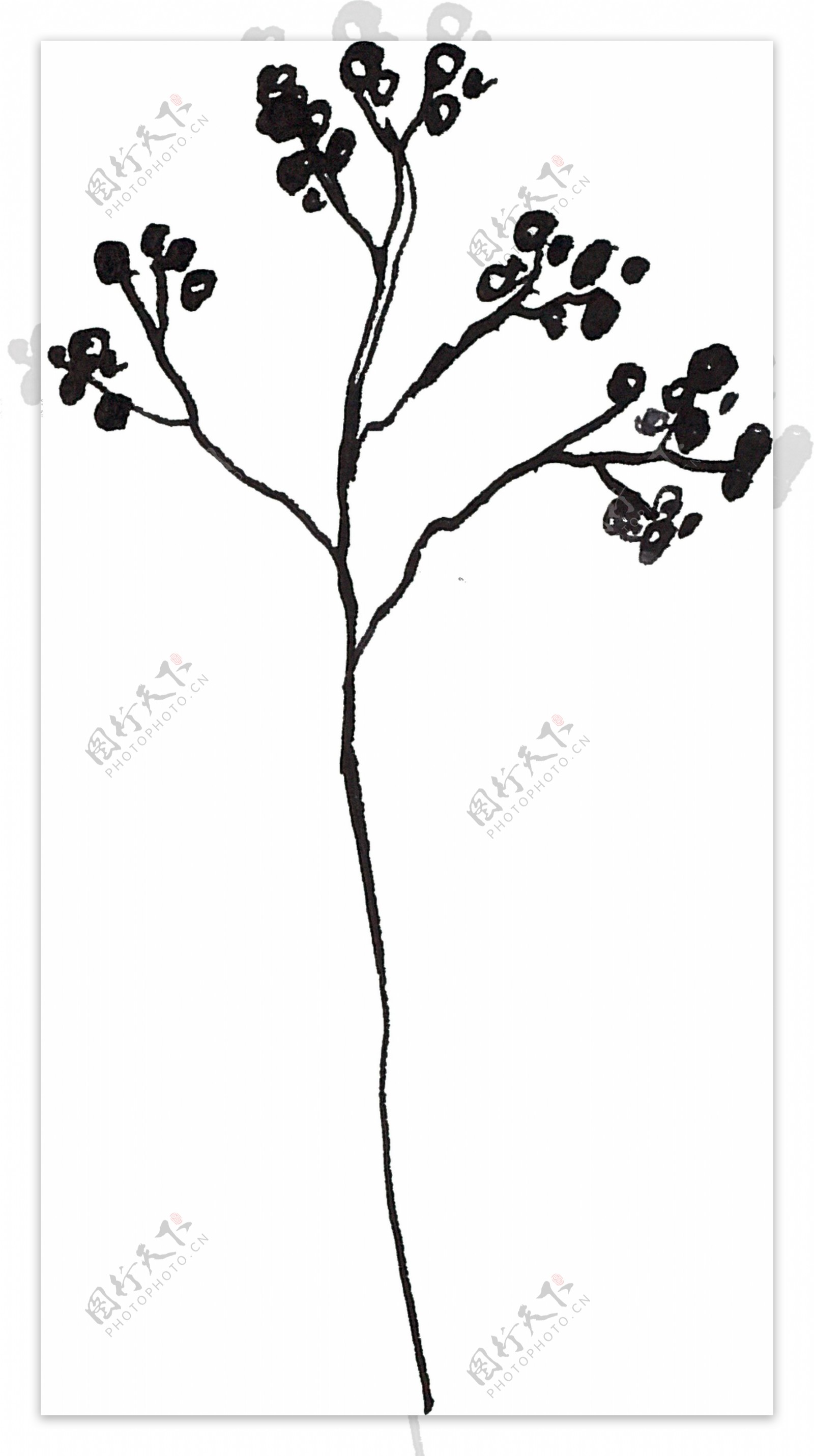 贺卡装饰黑色植物卡通水彩透明素材