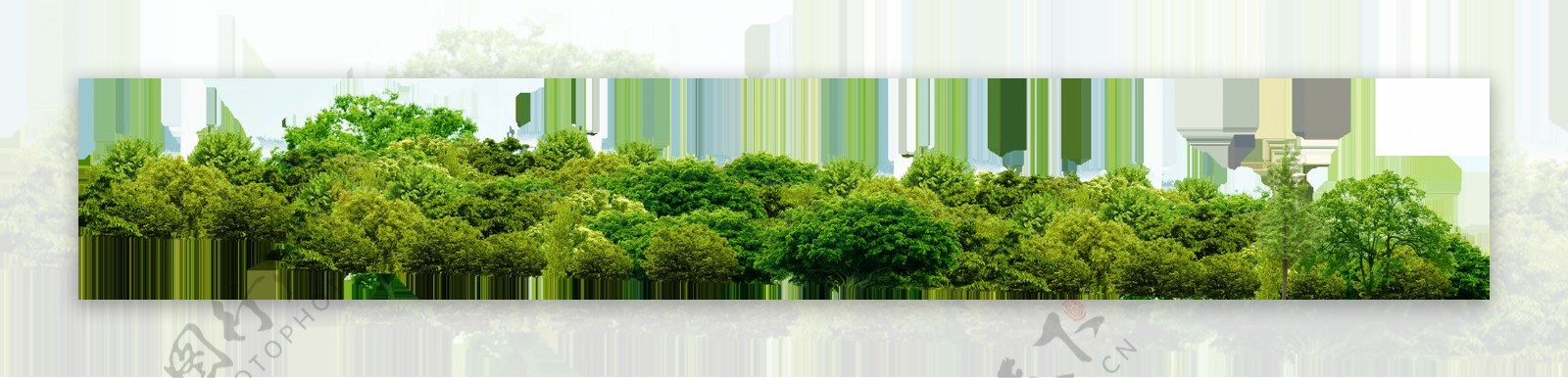 绿色茂盛森林png元素素材