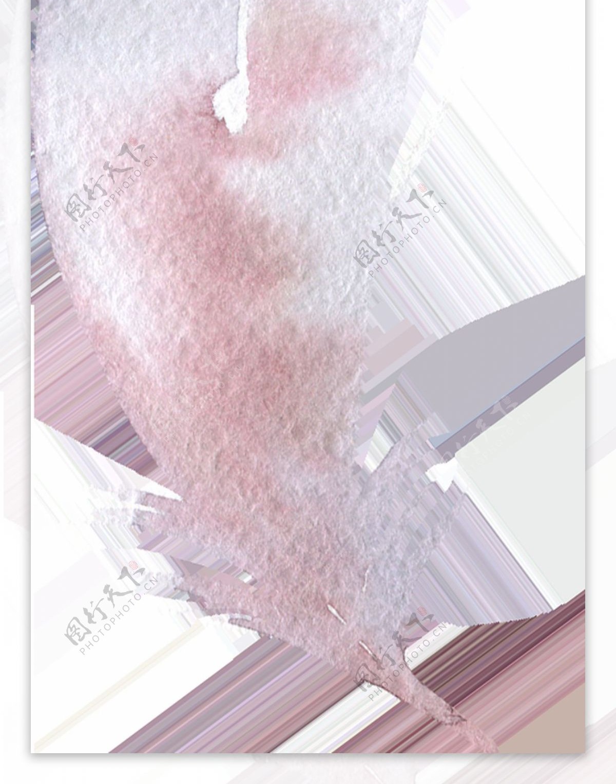 皎月羽翼卡通水彩透明素材