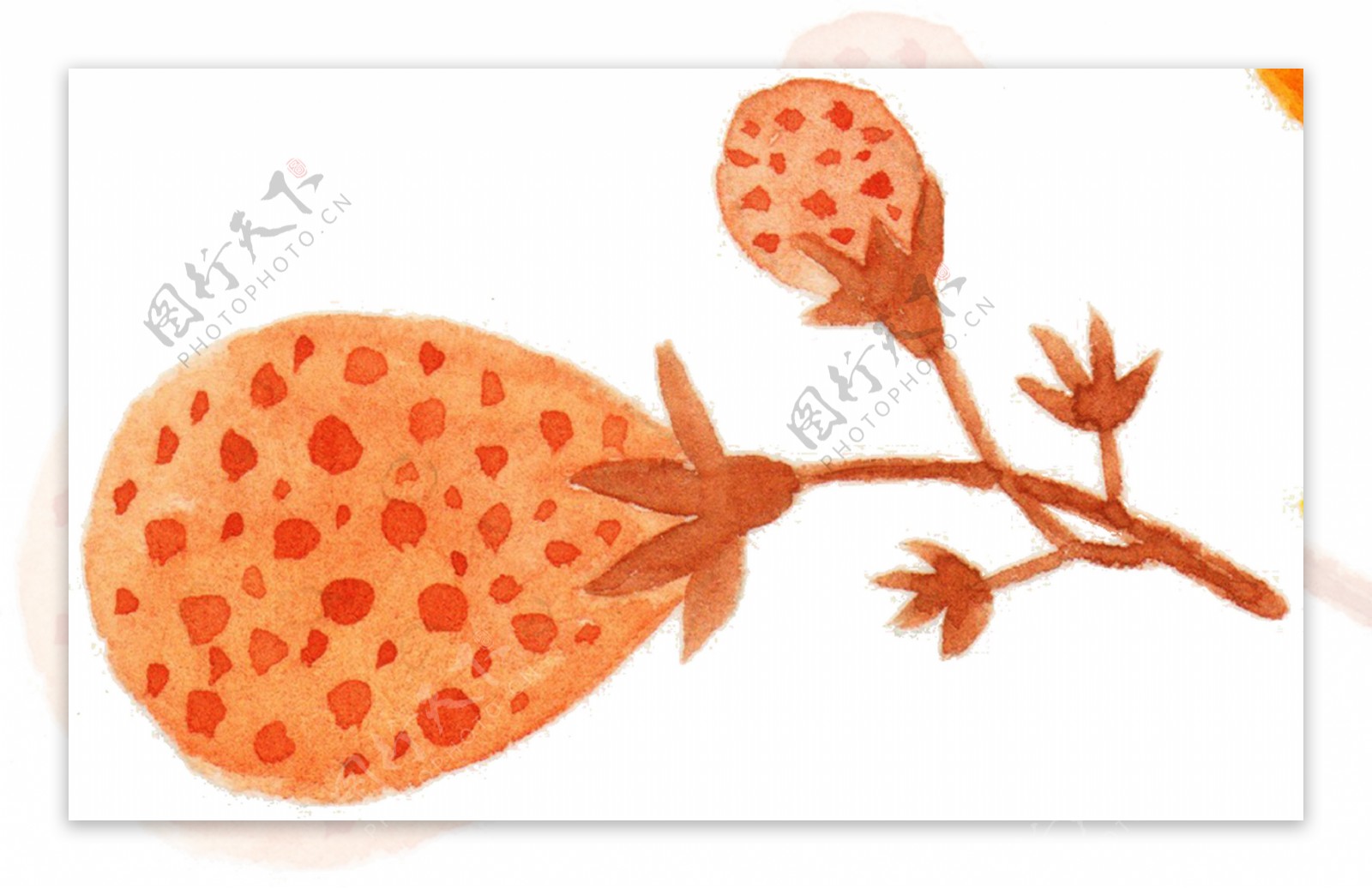 橙斑花蕊卡通透明素材