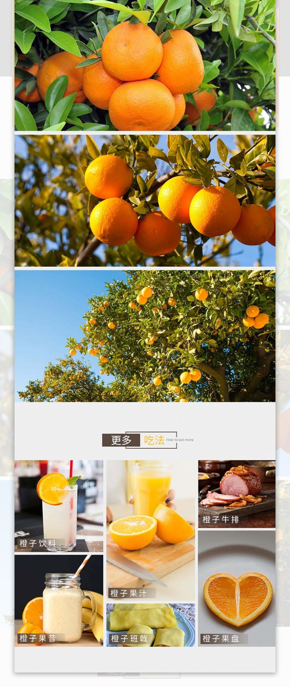 电商淘宝水果脐橙详情页