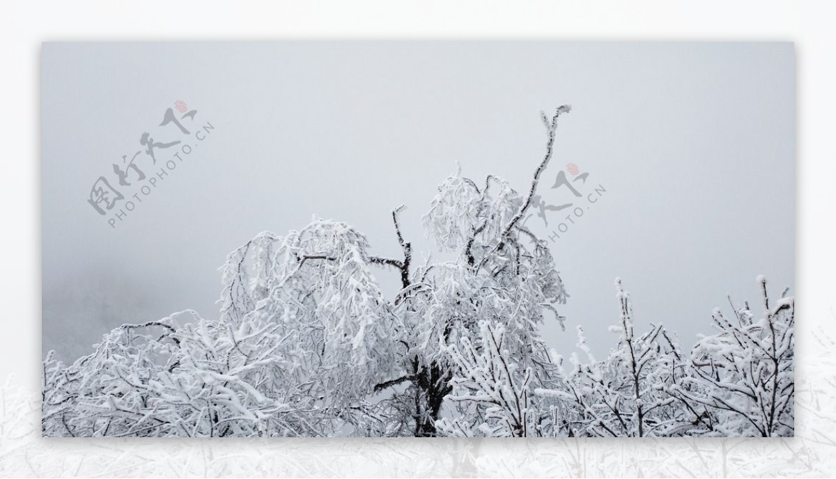 西岭雪山