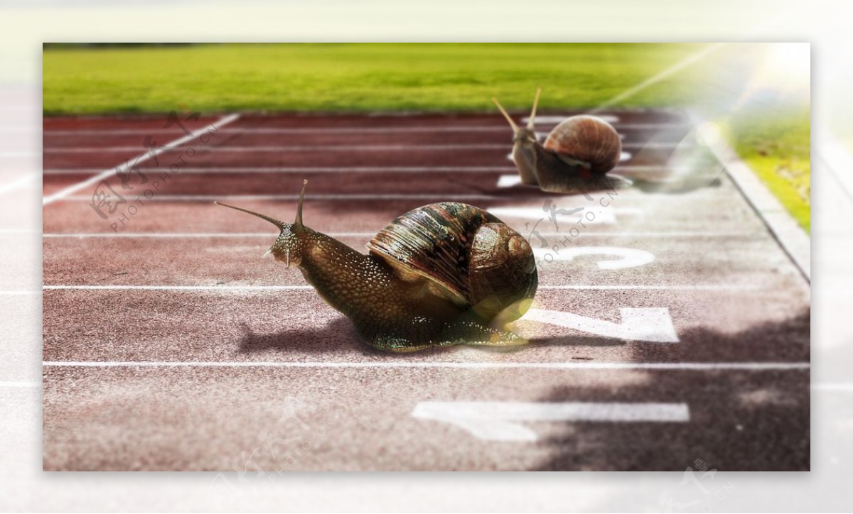 跑道上的蜗牛