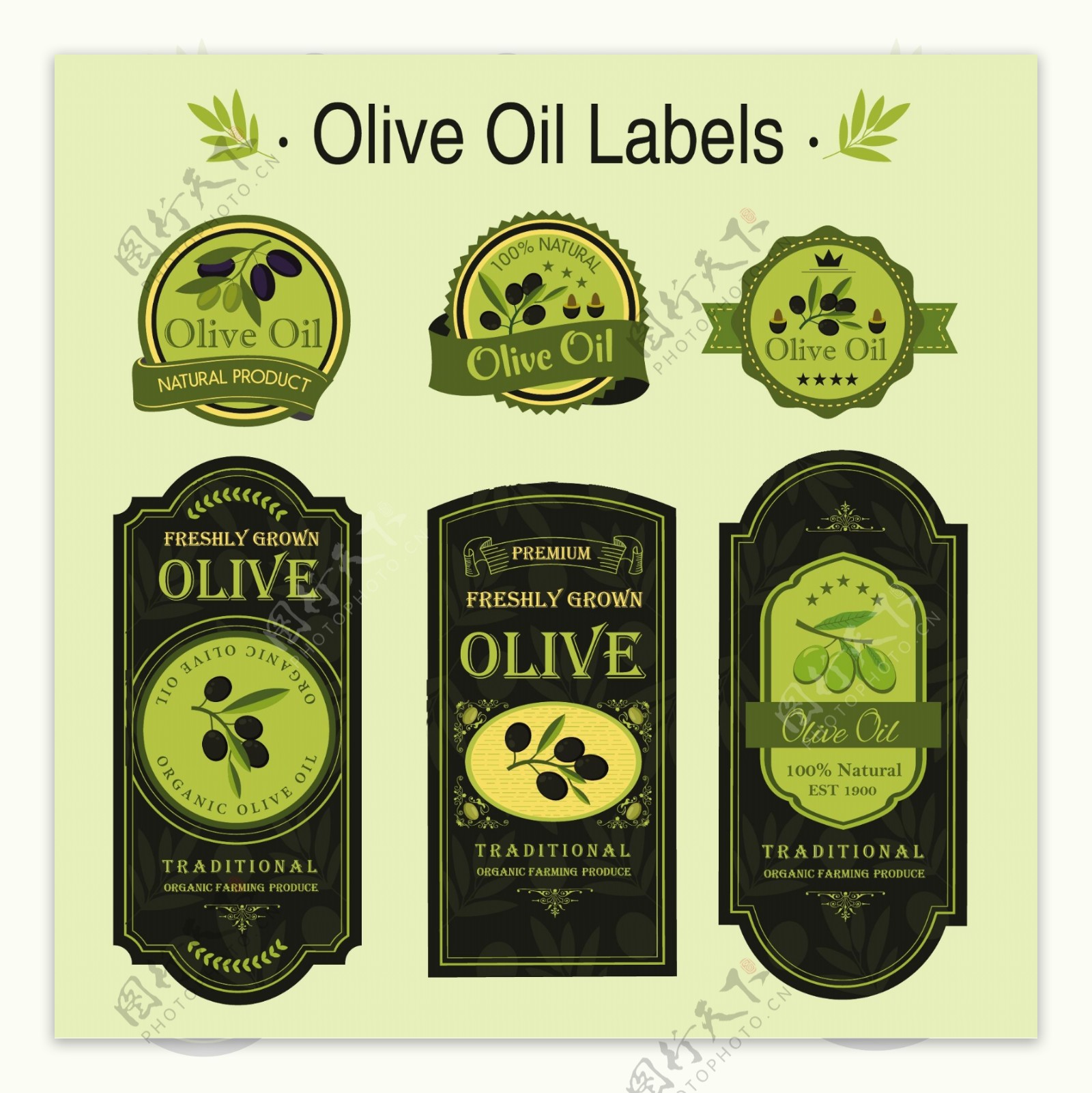 橄榄油包装图标