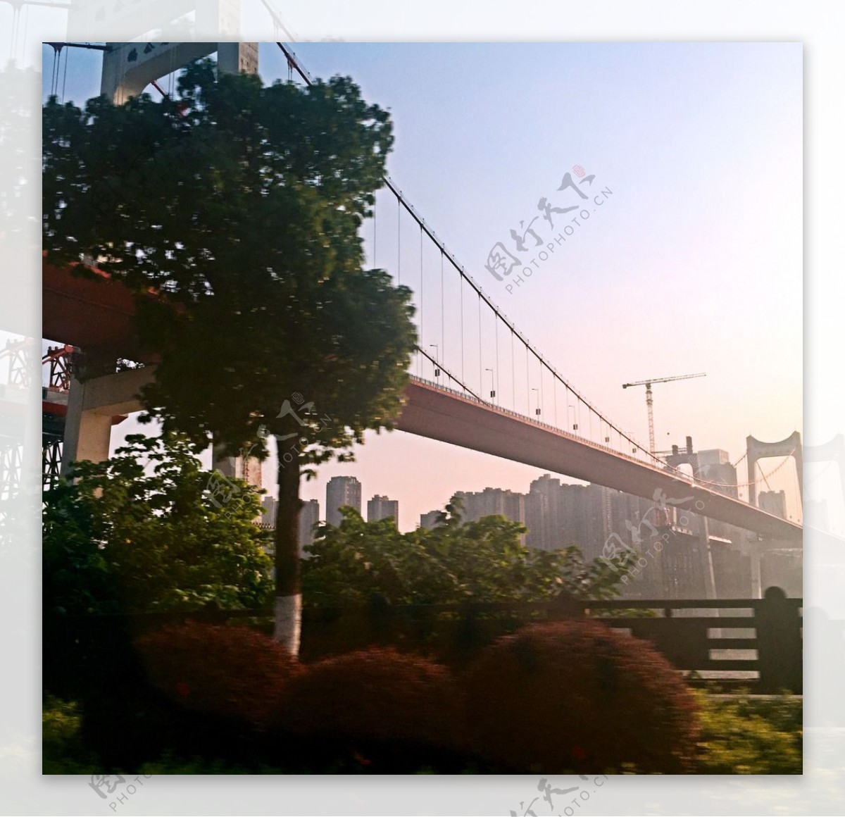 重庆市南岸区桥