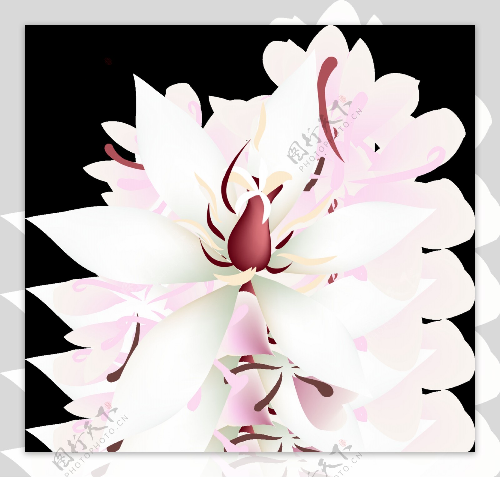 粉白花瓣透明装饰素材