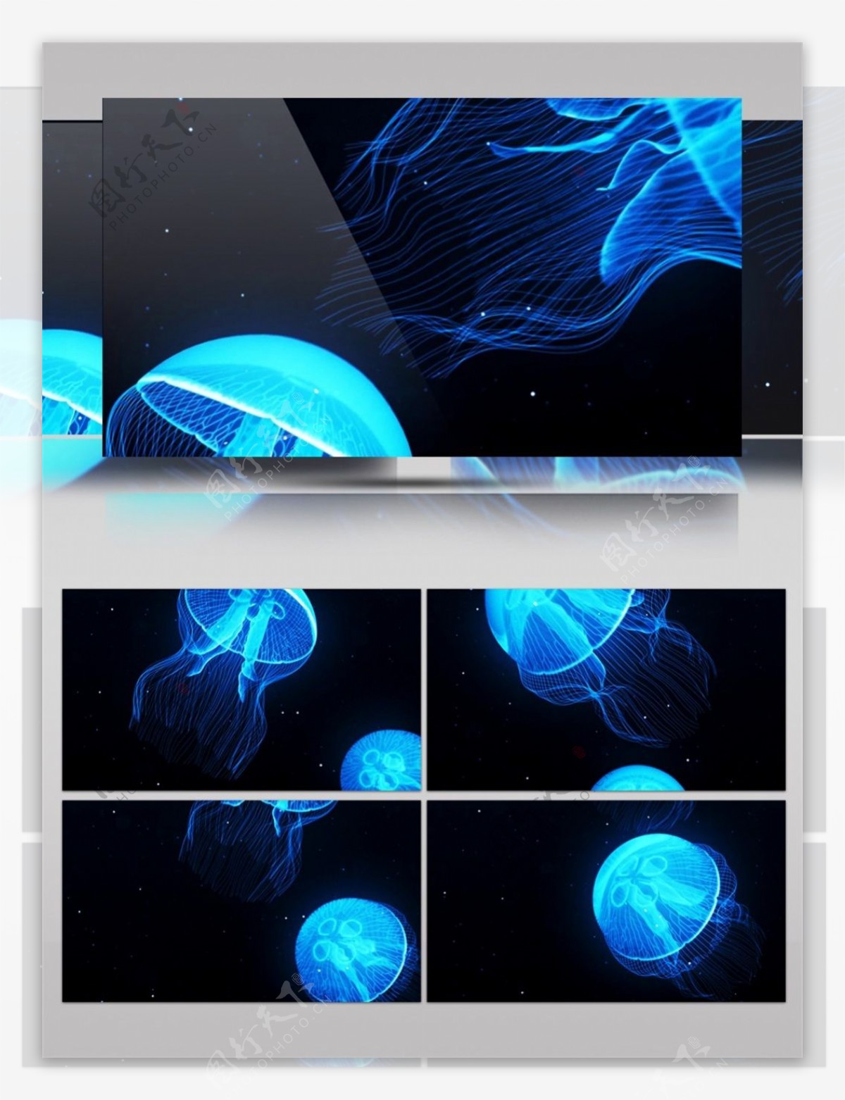 蓝色光束水母视频素材