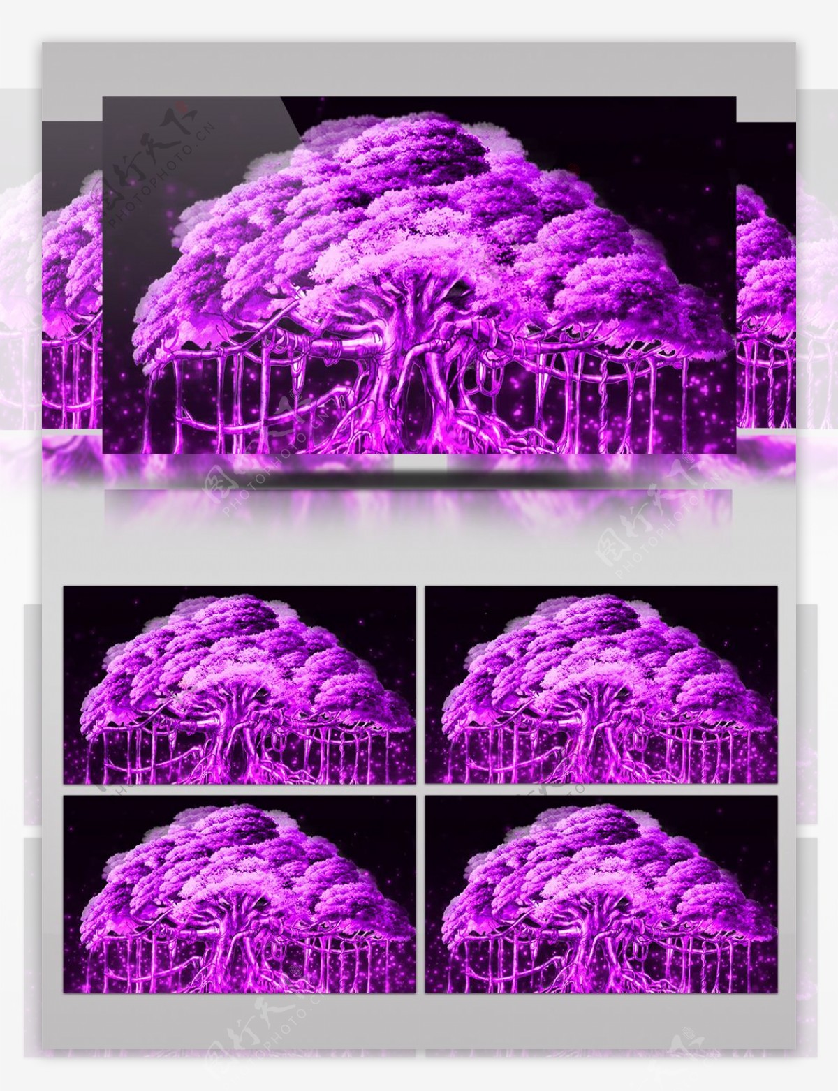 紫色浪漫童话婚礼森林梦幻树视频