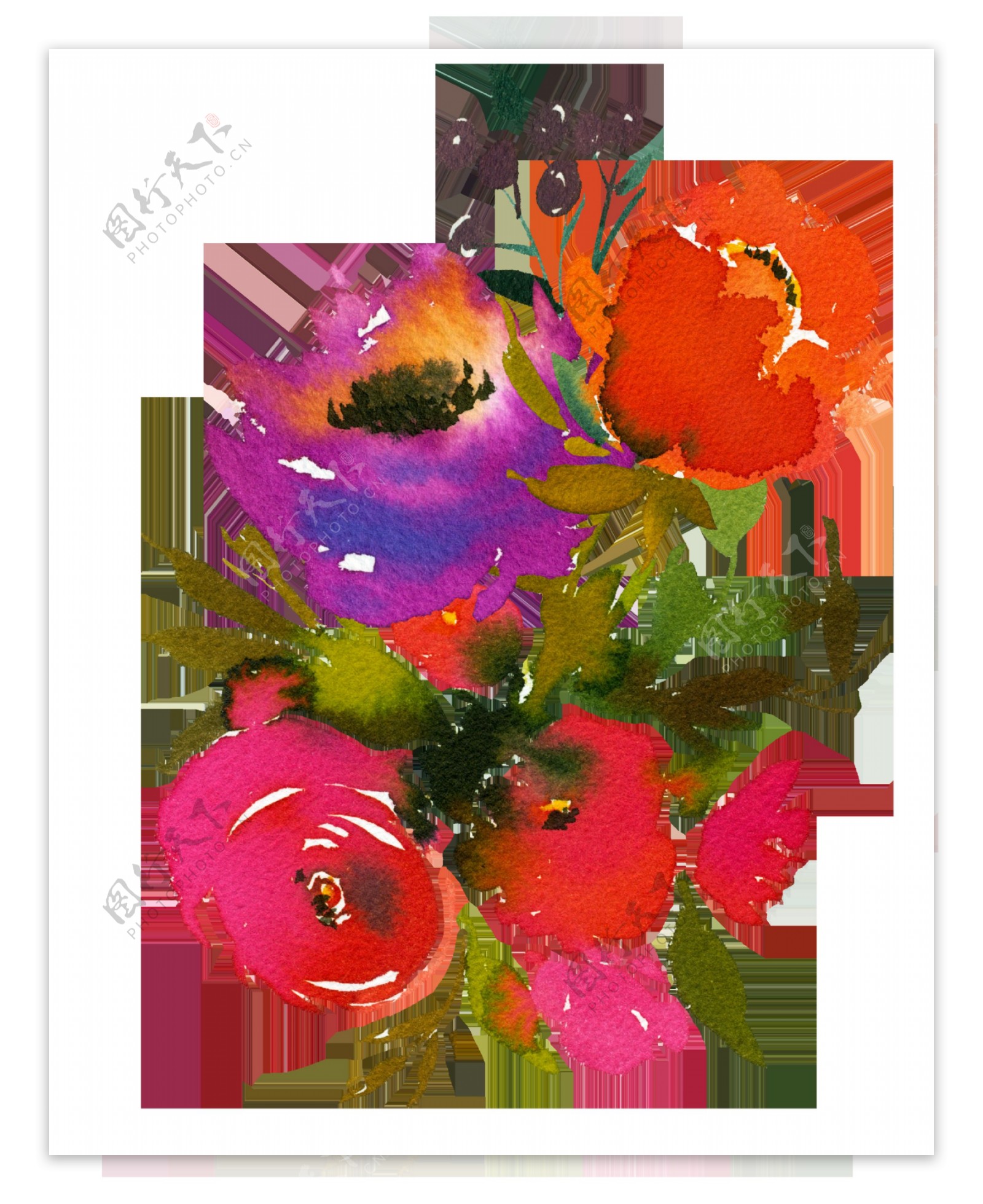 手绘颜色鲜艳的花卉png透明素材
