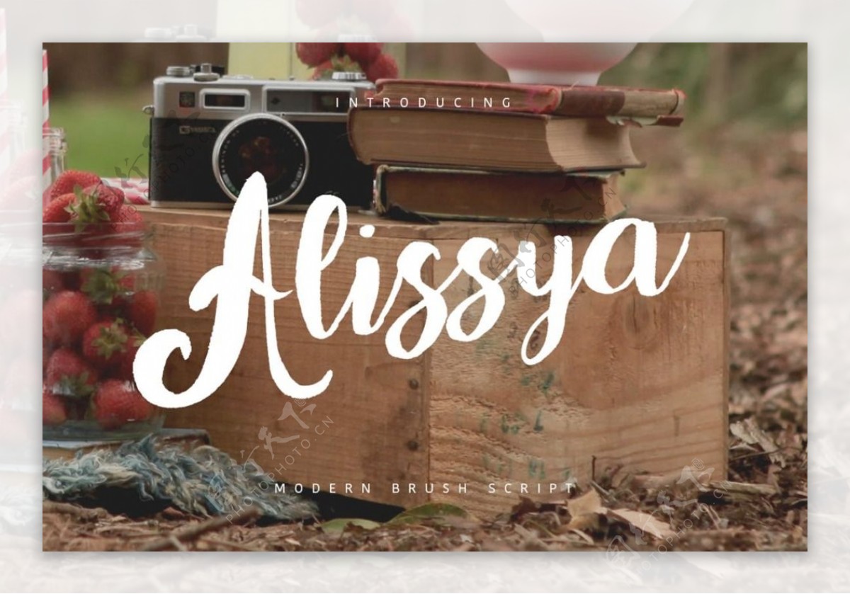 婚礼元素Alissya字体