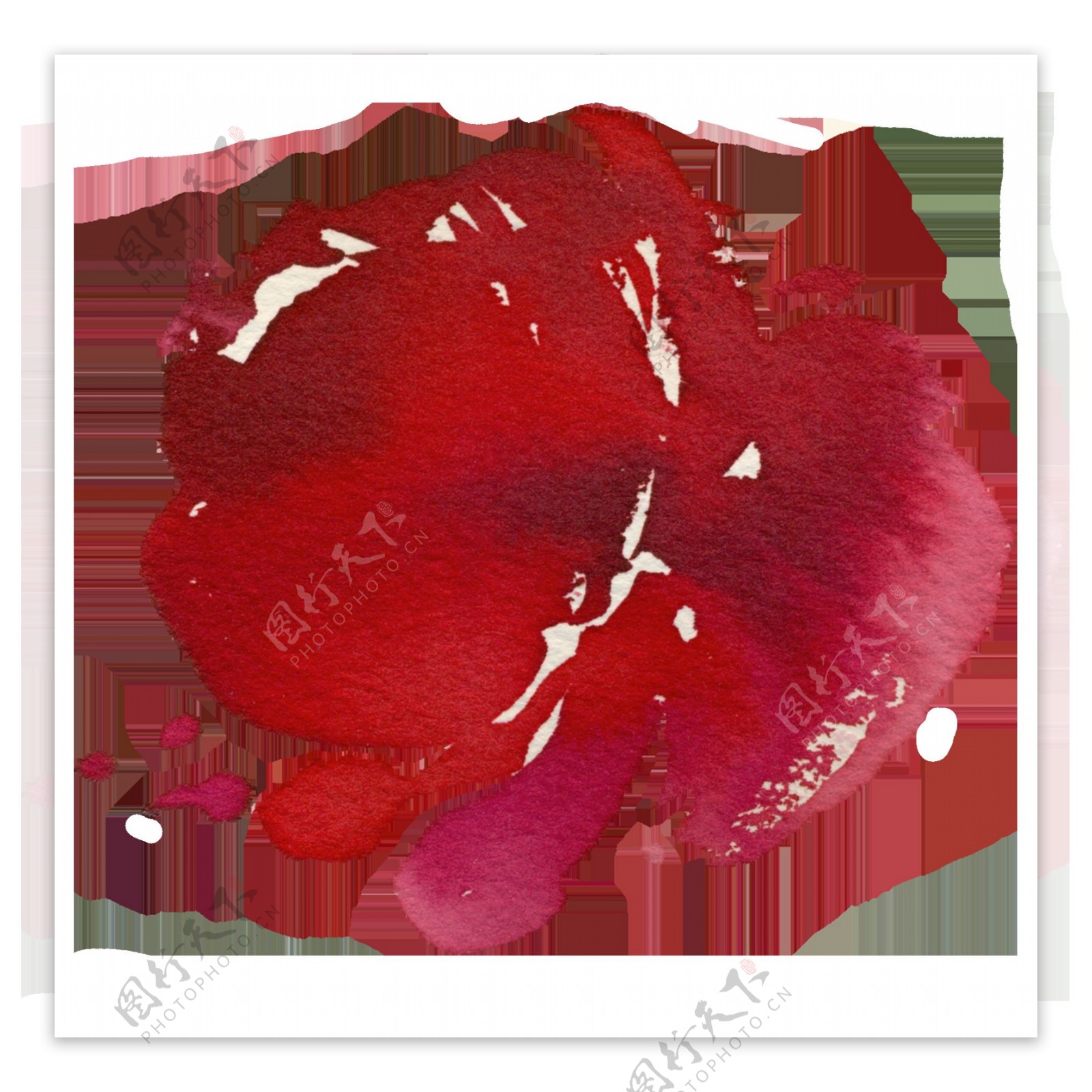 手绘妩媚的花朵PNG透明素材