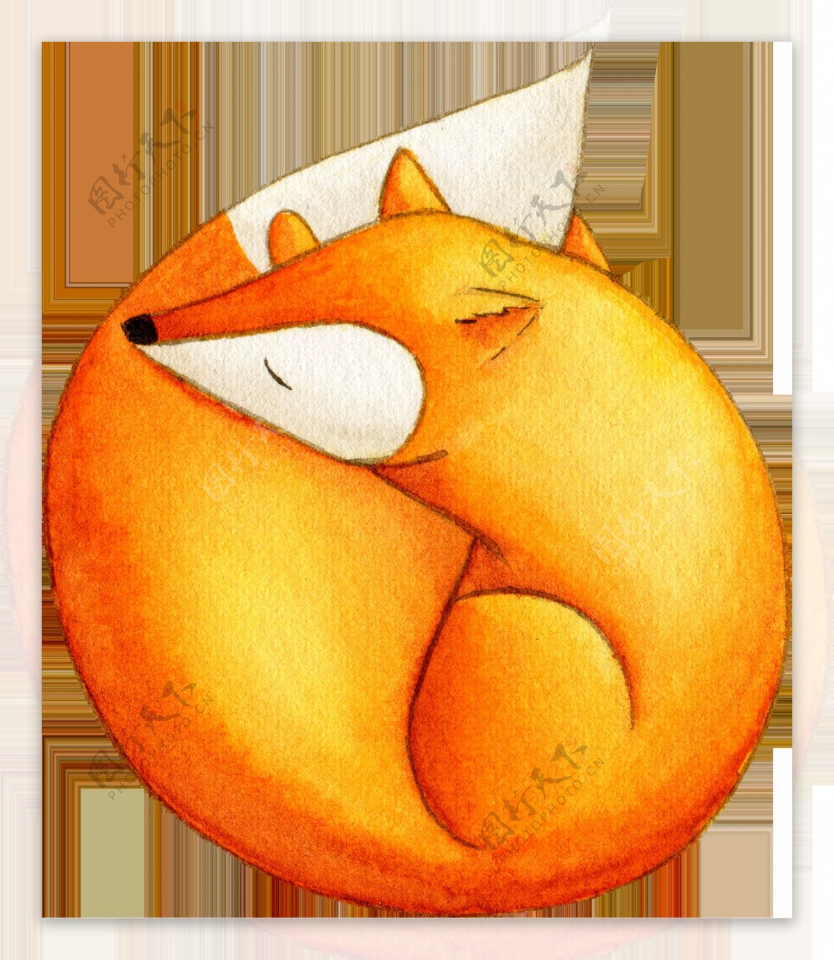 可爱小狐狸卡通透明装饰合集