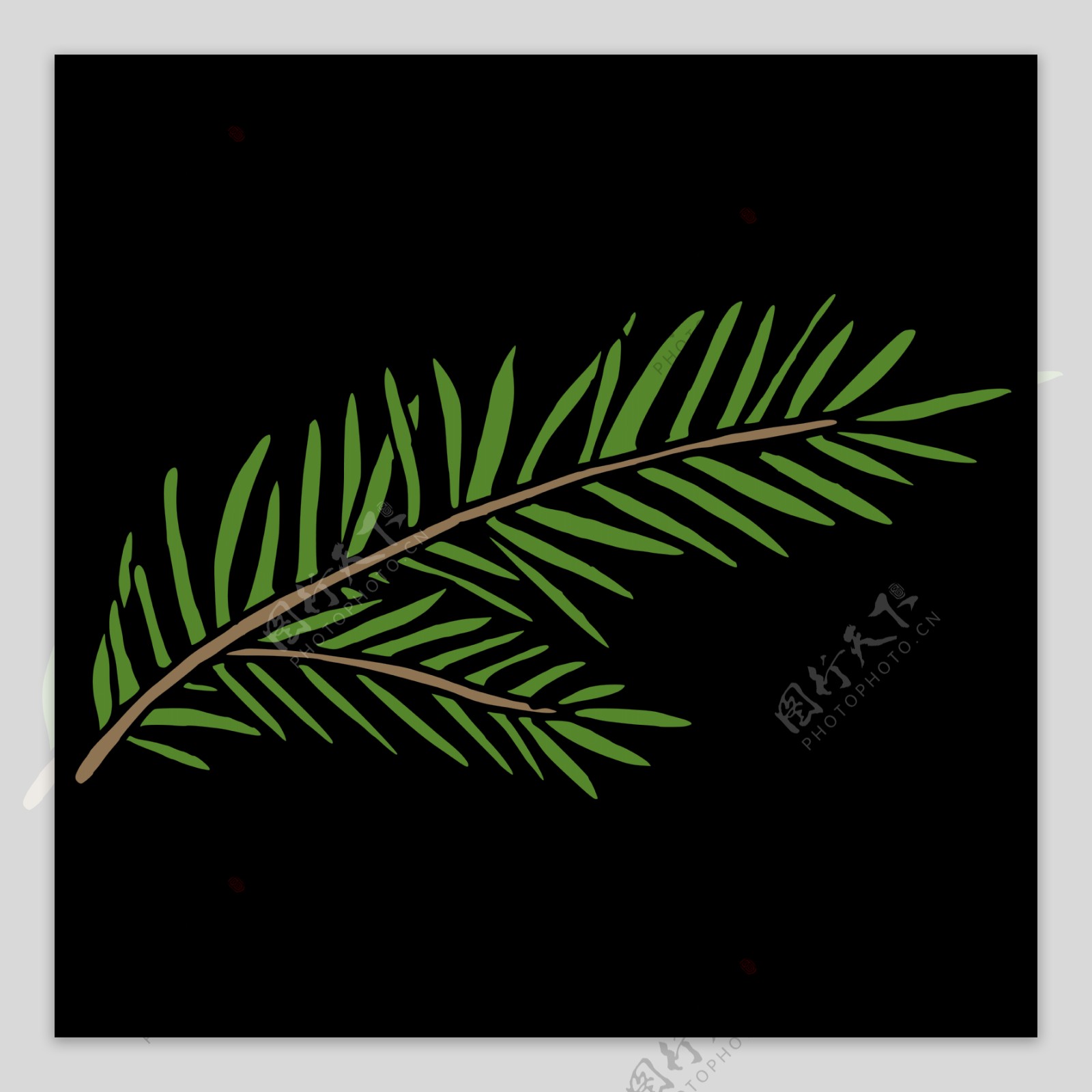 一株手绘绿色蕨类植物冬天透明装饰素材