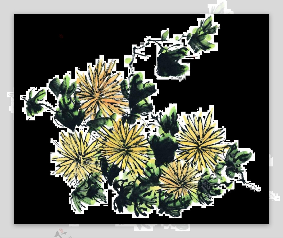 写实风深色手绘菊花装饰元素