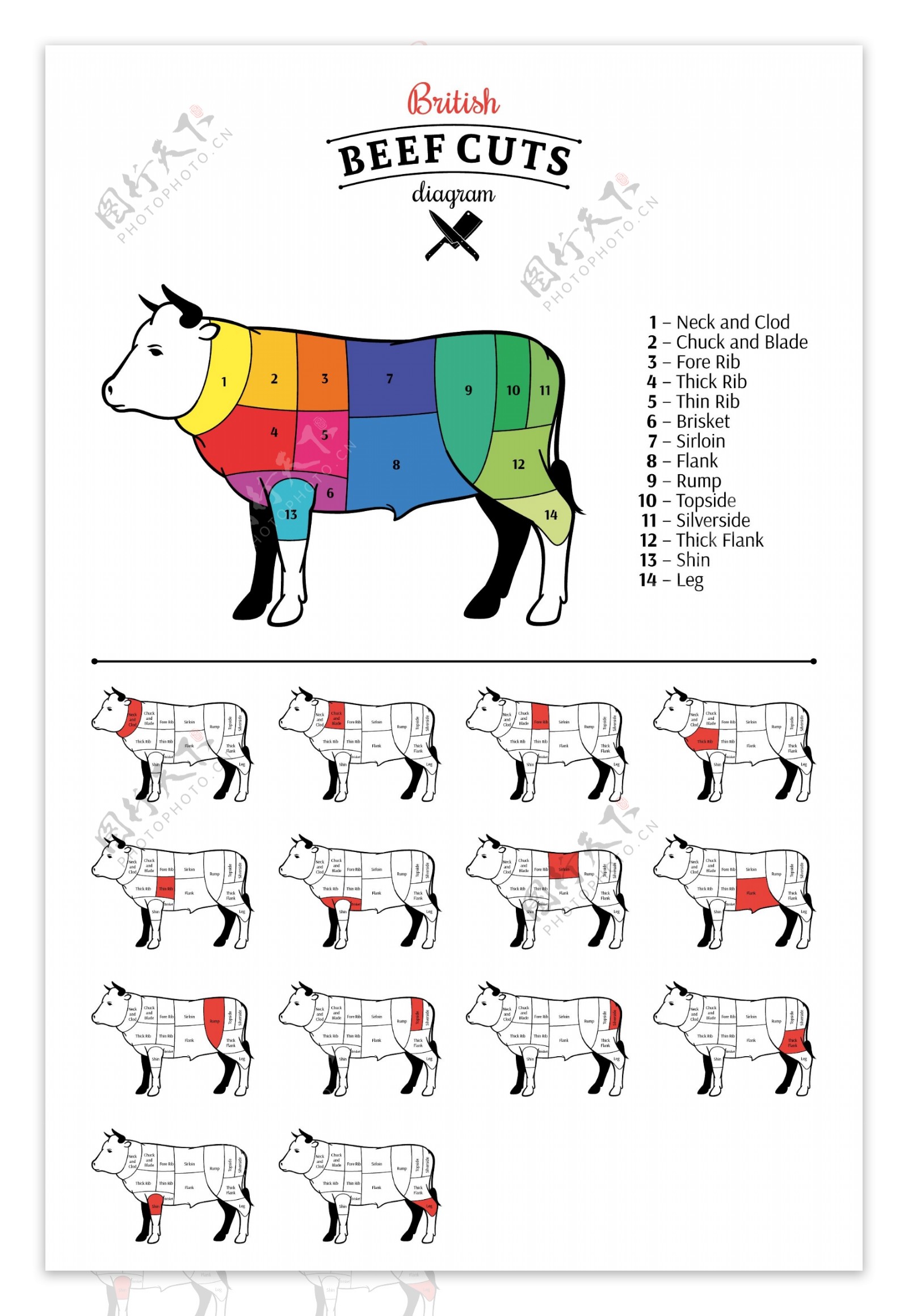牛的部位分割图