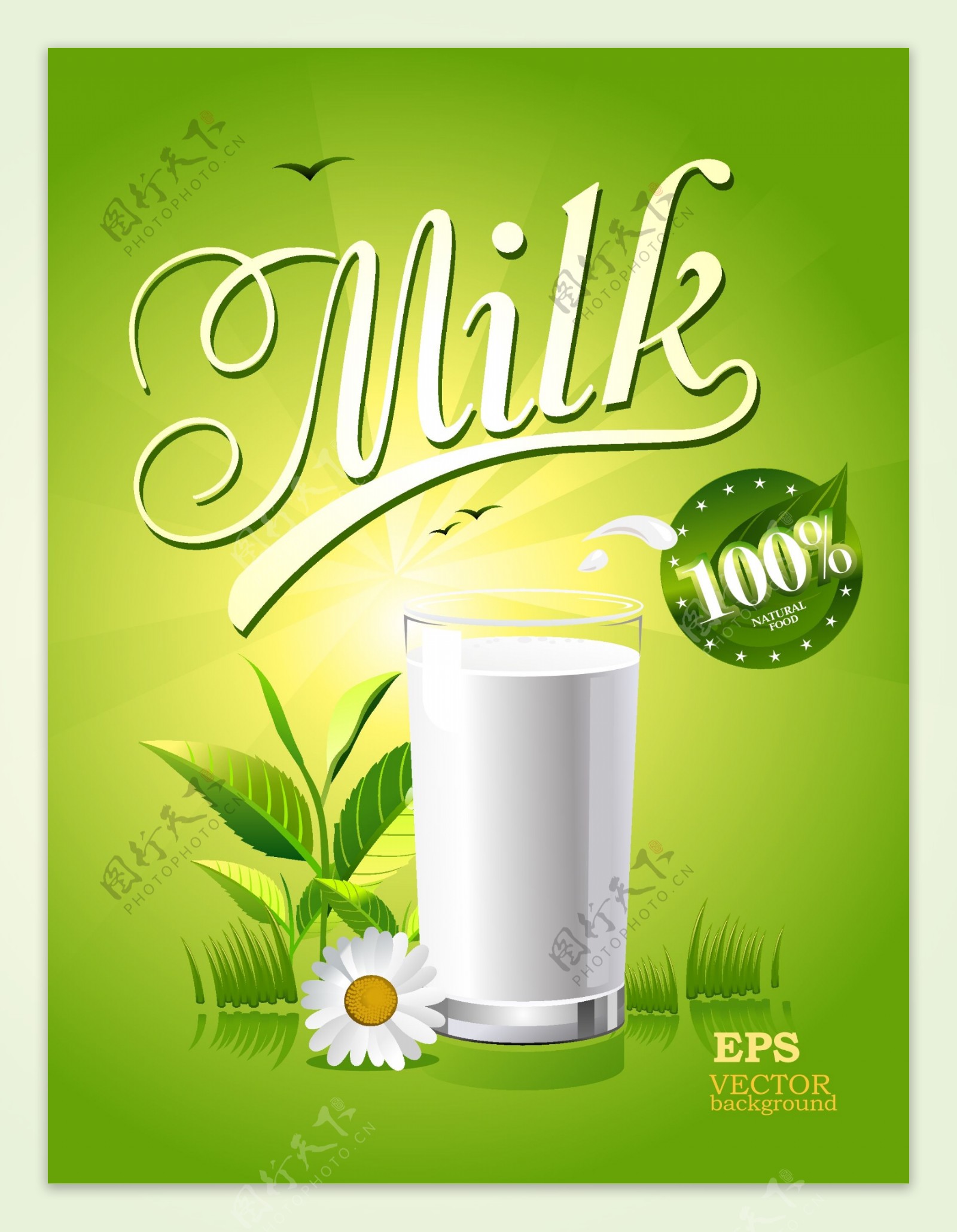 清新美味的牛奶插画