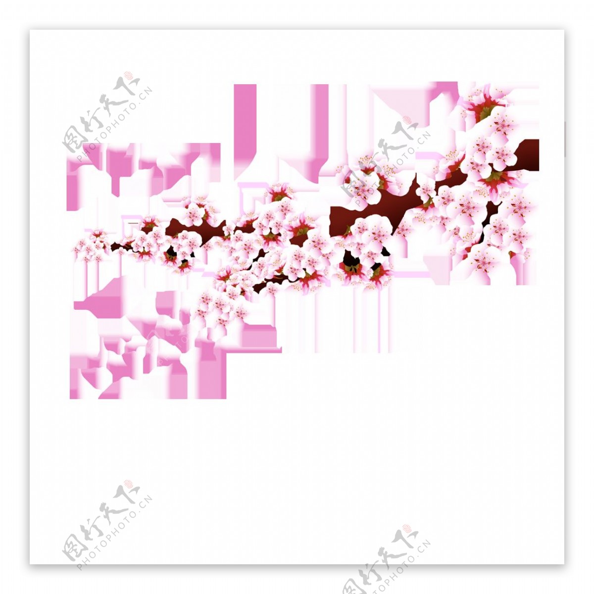 清新风格浅粉色花瓣樱花装饰元素