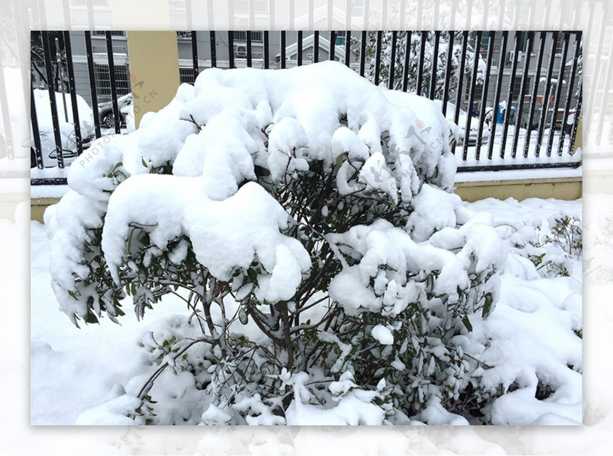 雪景