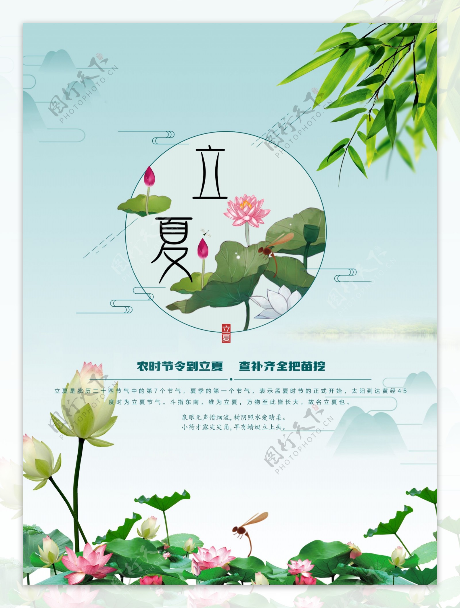 立夏清新节日海报展板