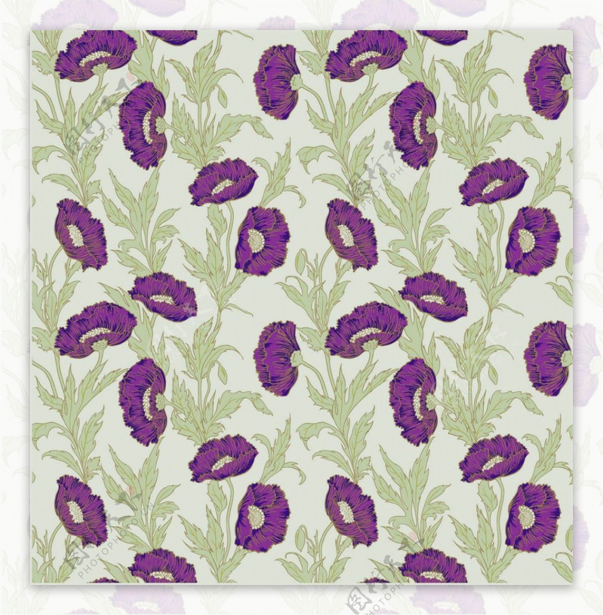 清新风格紫色花朵植物壁纸图案