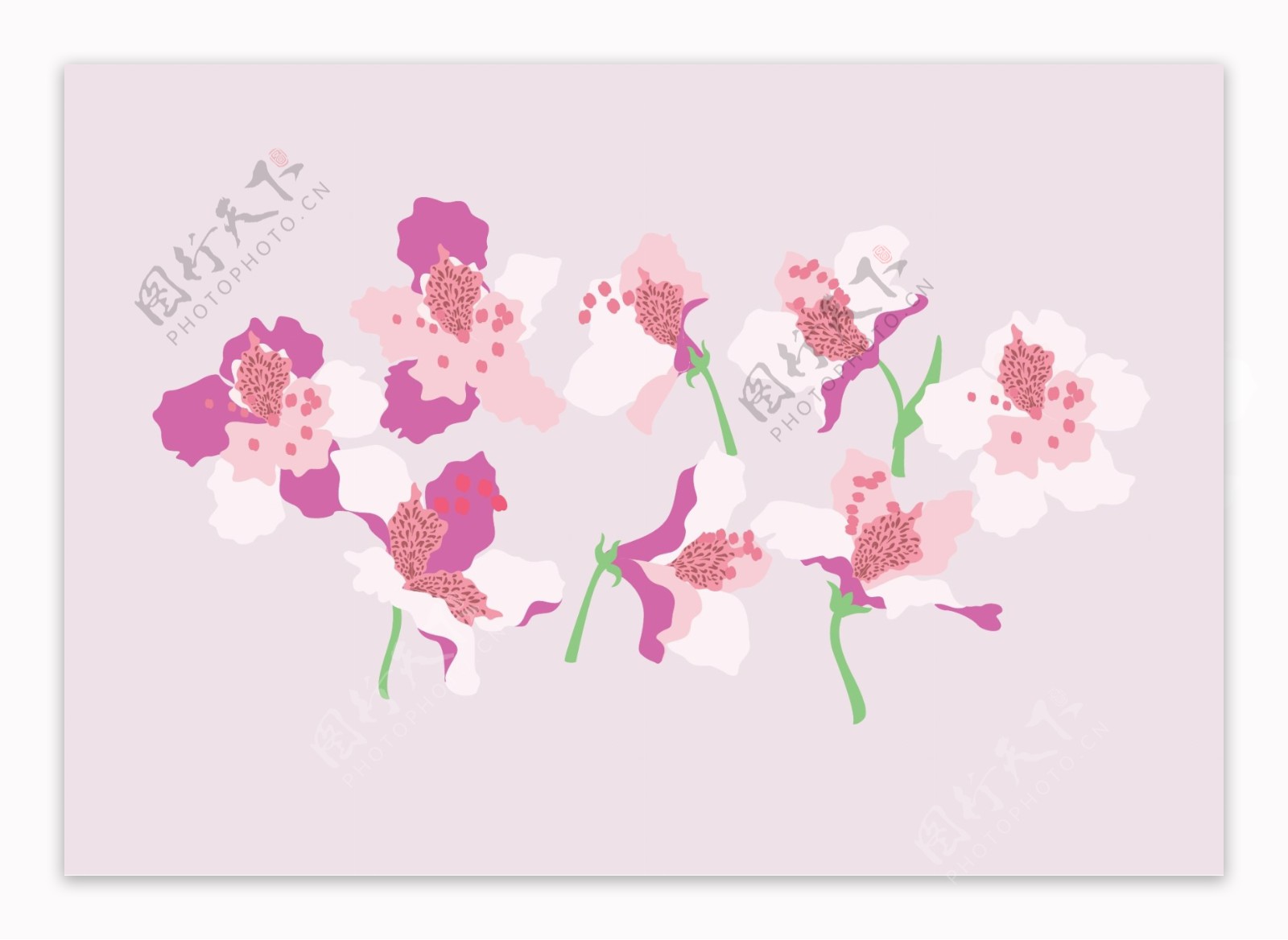 手绘矢量粉色花卉花朵