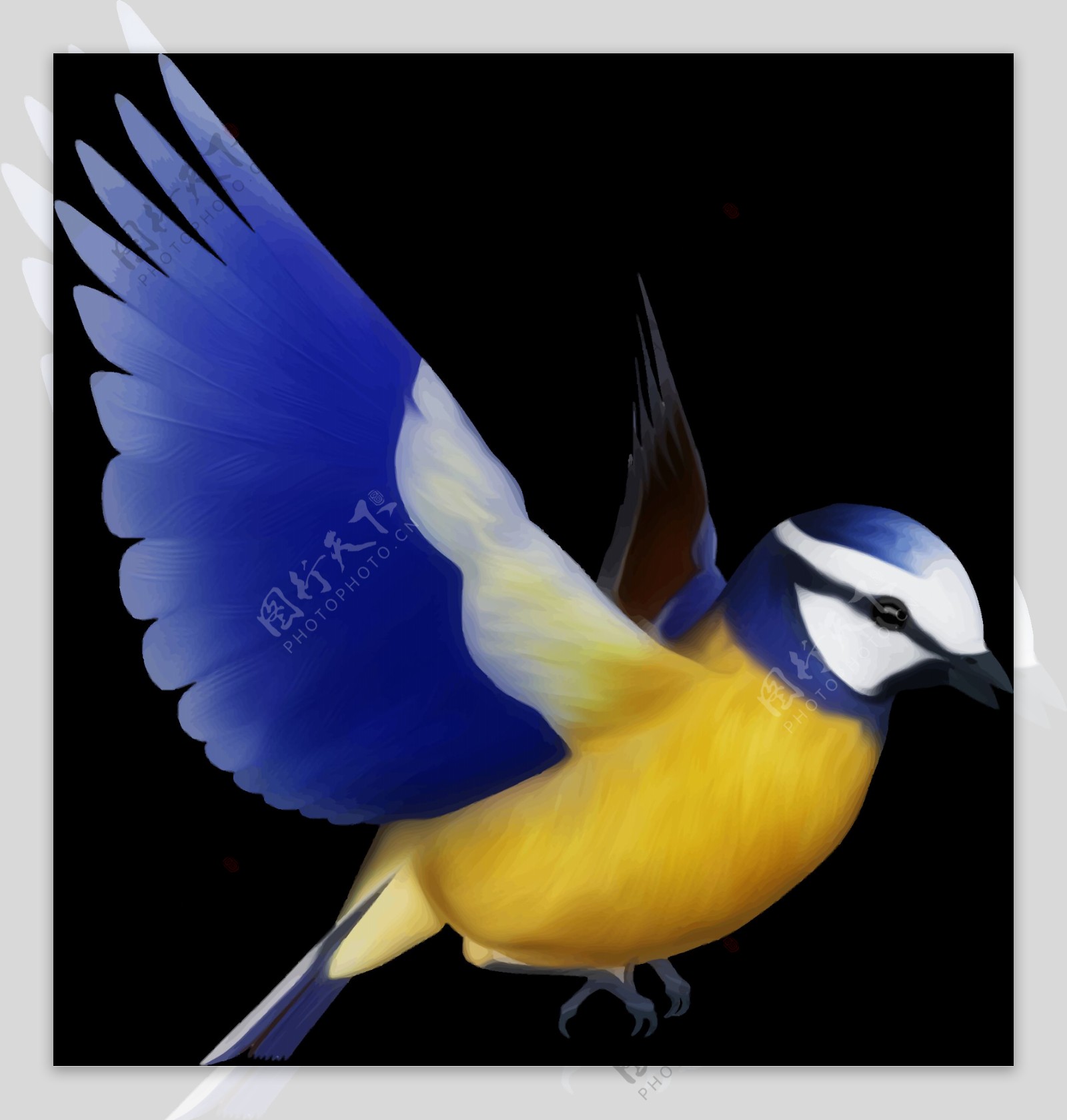 美丽蓝色翅膀小鸟装饰元素