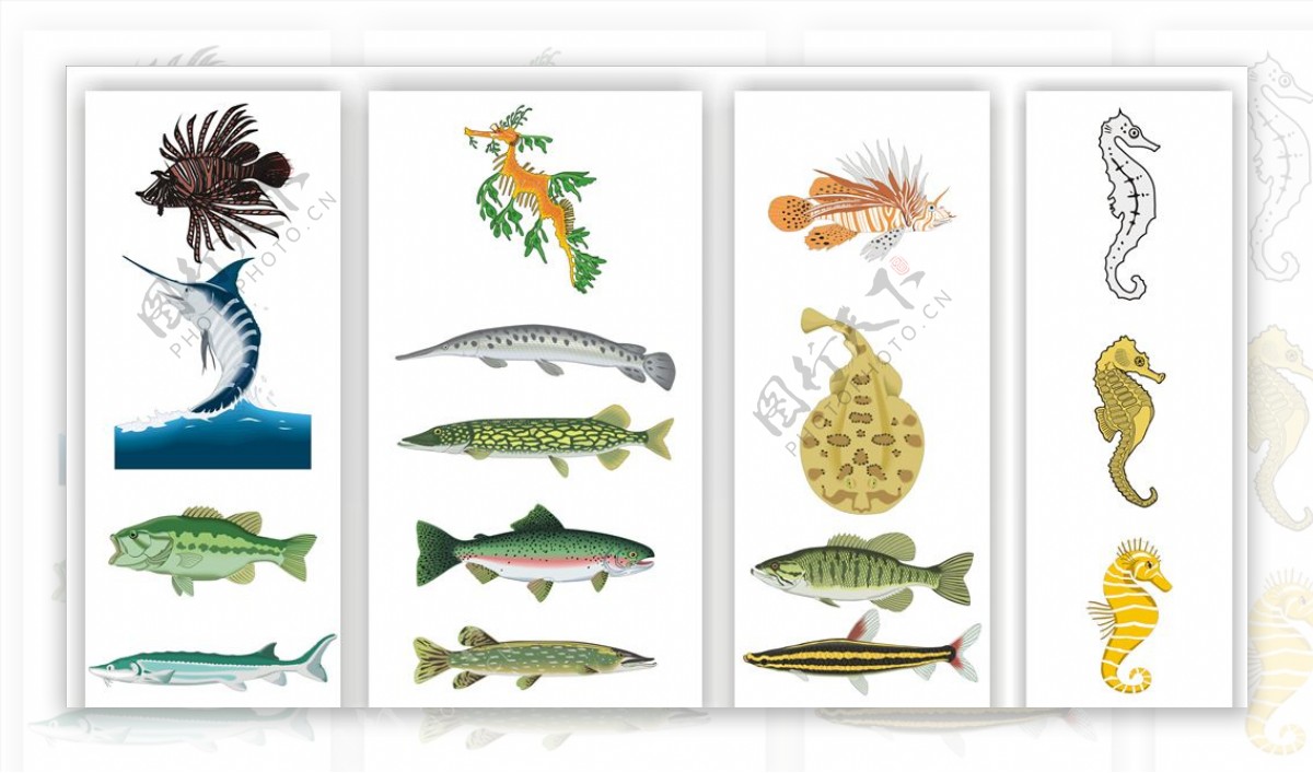 鱼类矢量素材鱼类观赏鱼