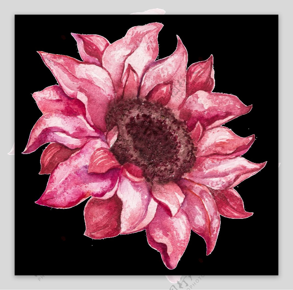 手绘逼真一朵粉红色花矢量素材