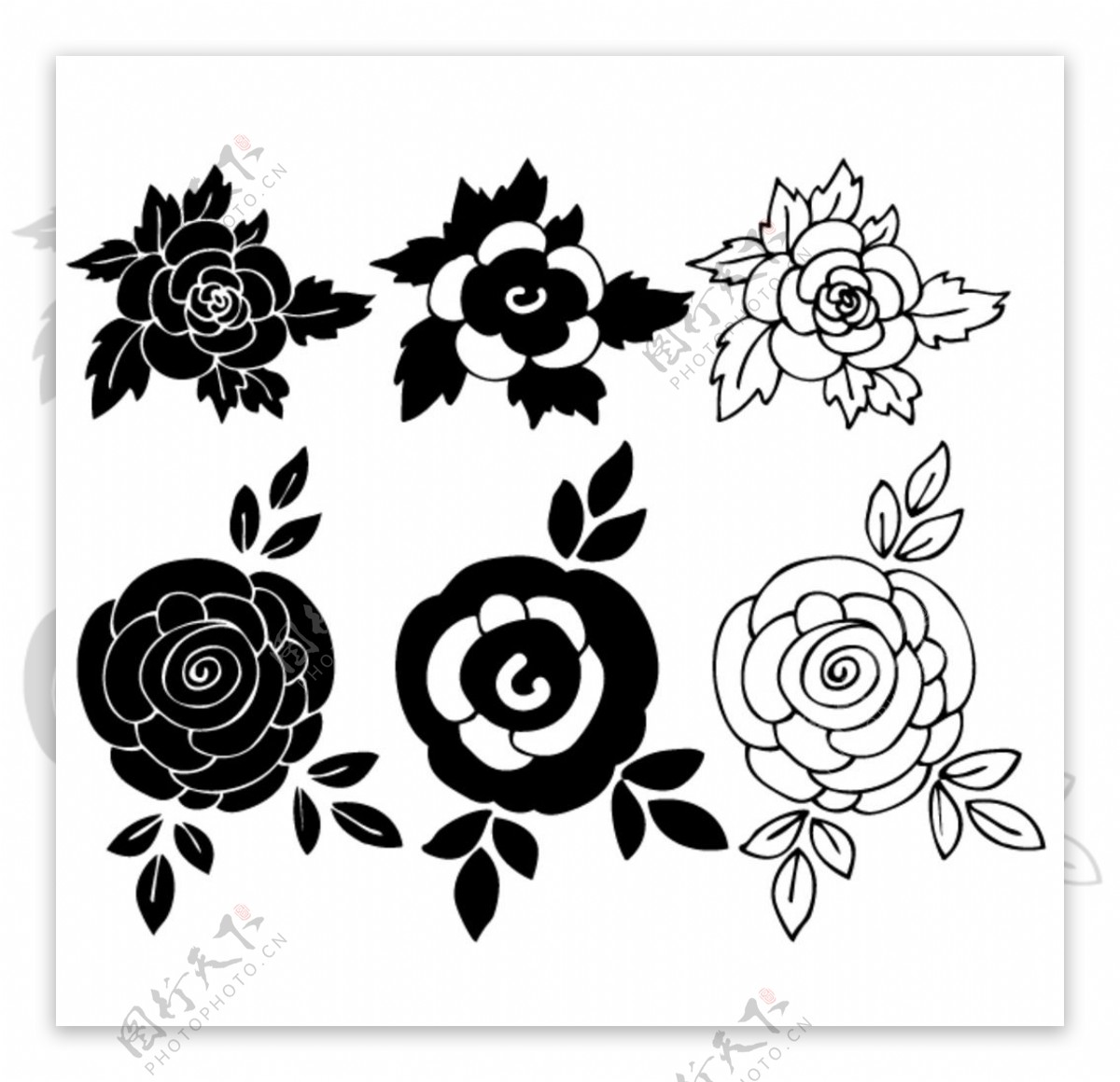 Free Images : blossom, black and white, petal, bloom, love, romance ...