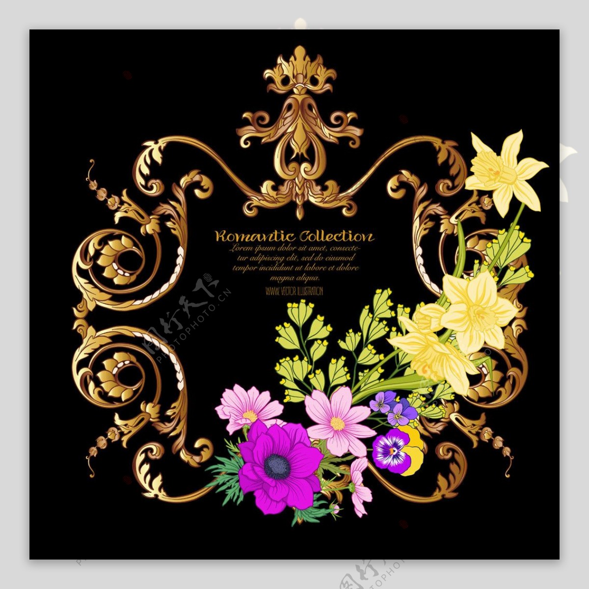 矢量花朵与边框设计图片