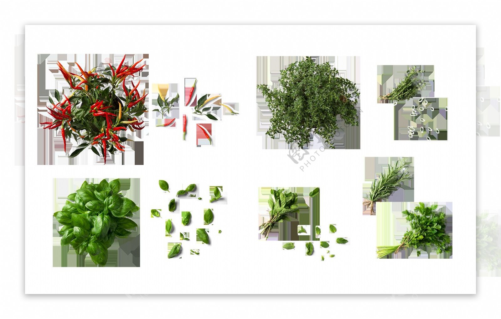 创意绿色植物png元素