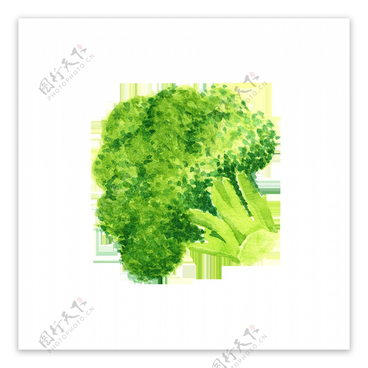 手绘绿色蔬菜元素