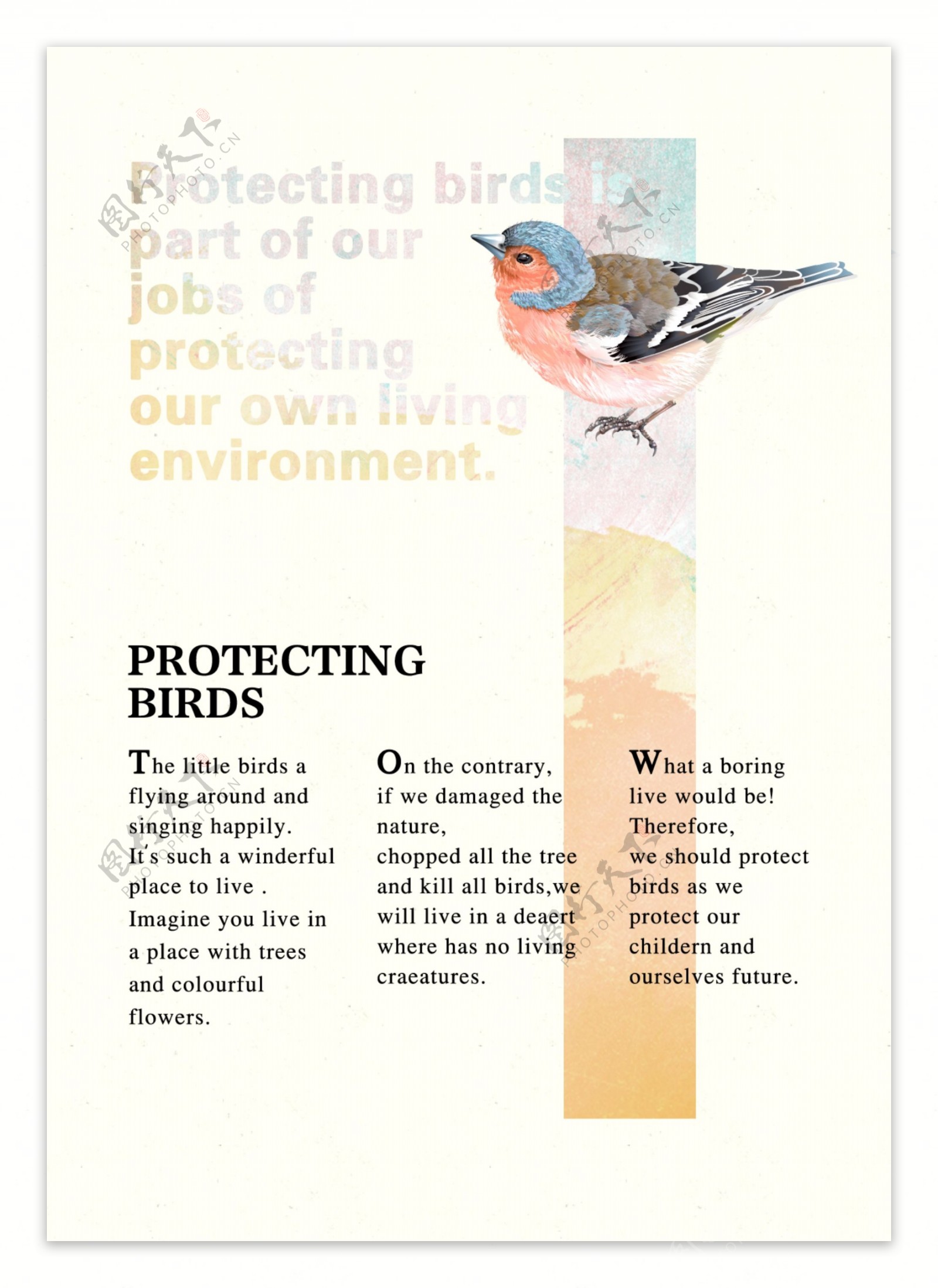 保护鸟类保护环境书籍排版海报