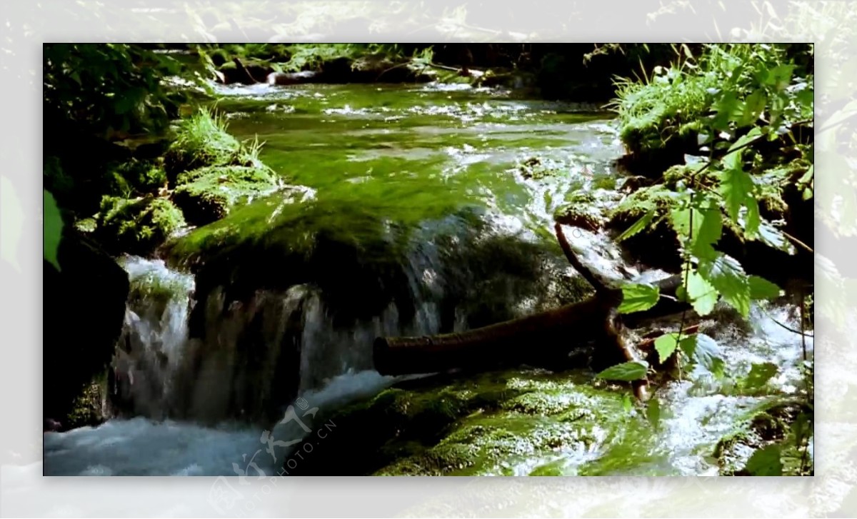 小溪溪水视频素材