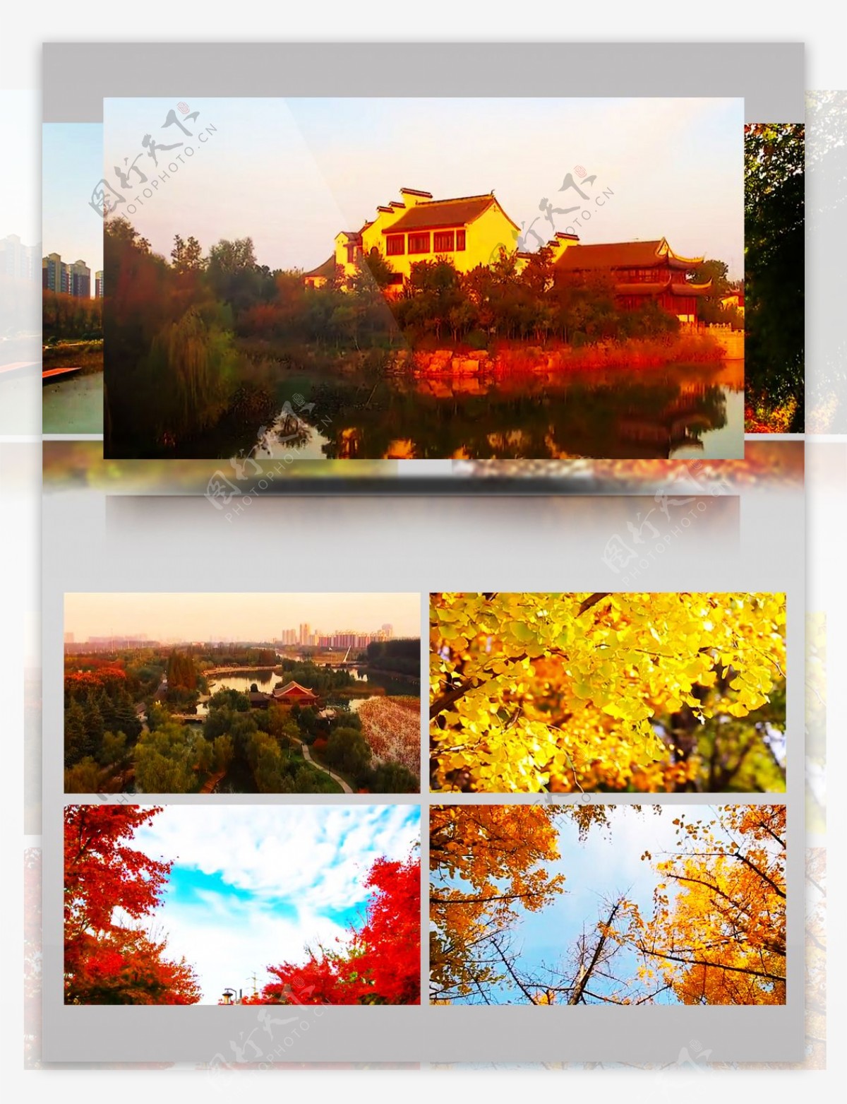 黄河岸边美丽的秋天景色