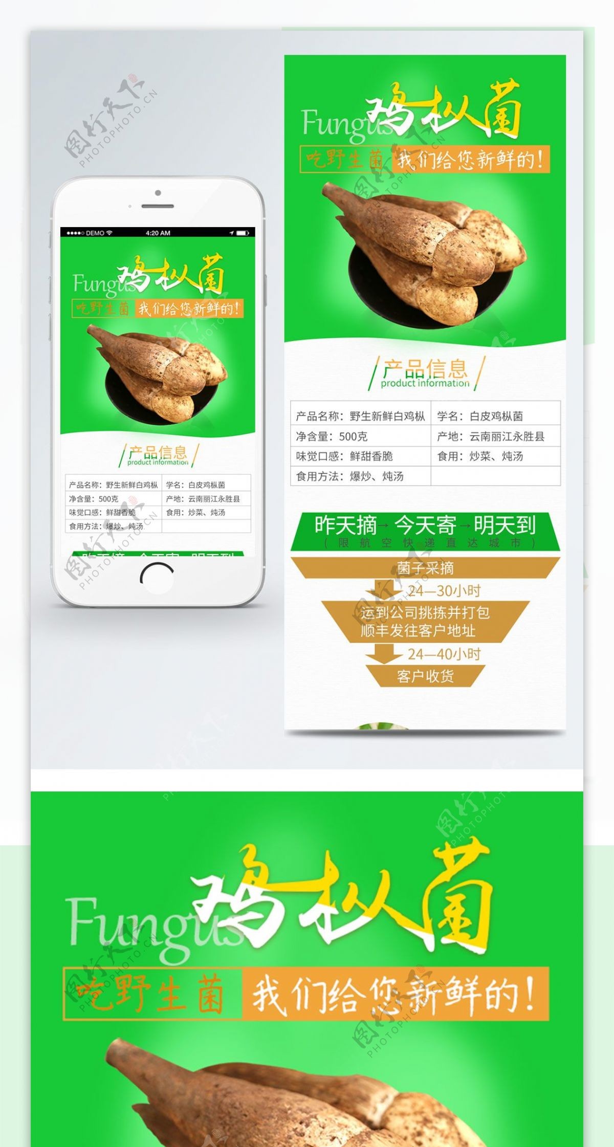 鸡枞菌食品移动端绿色清新新鲜产品详情页