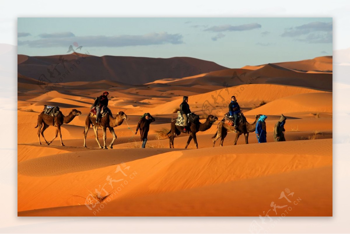 骆驼黄昏人物摄影沙漠