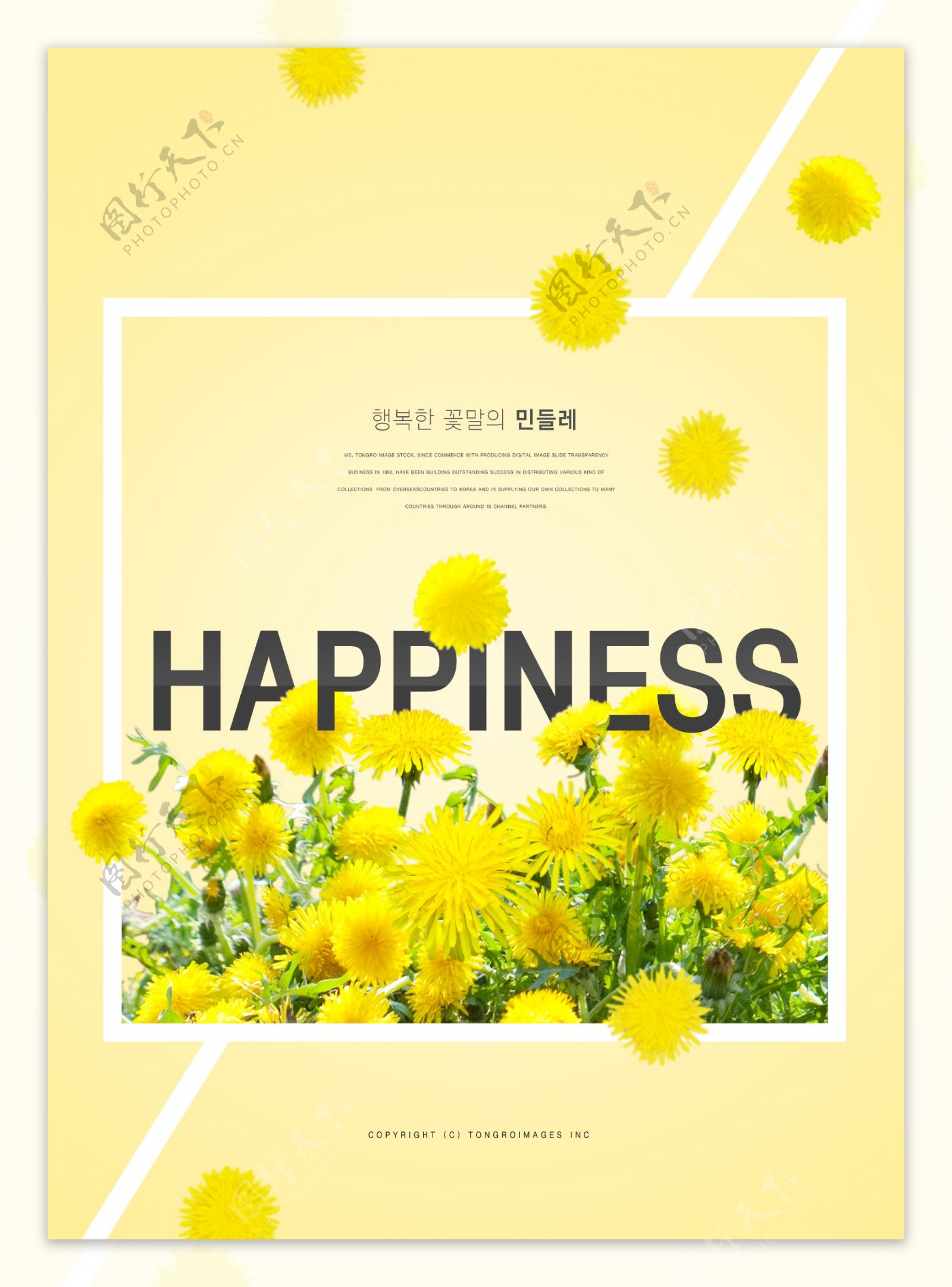 清新韩系黄色花海边框海报设计