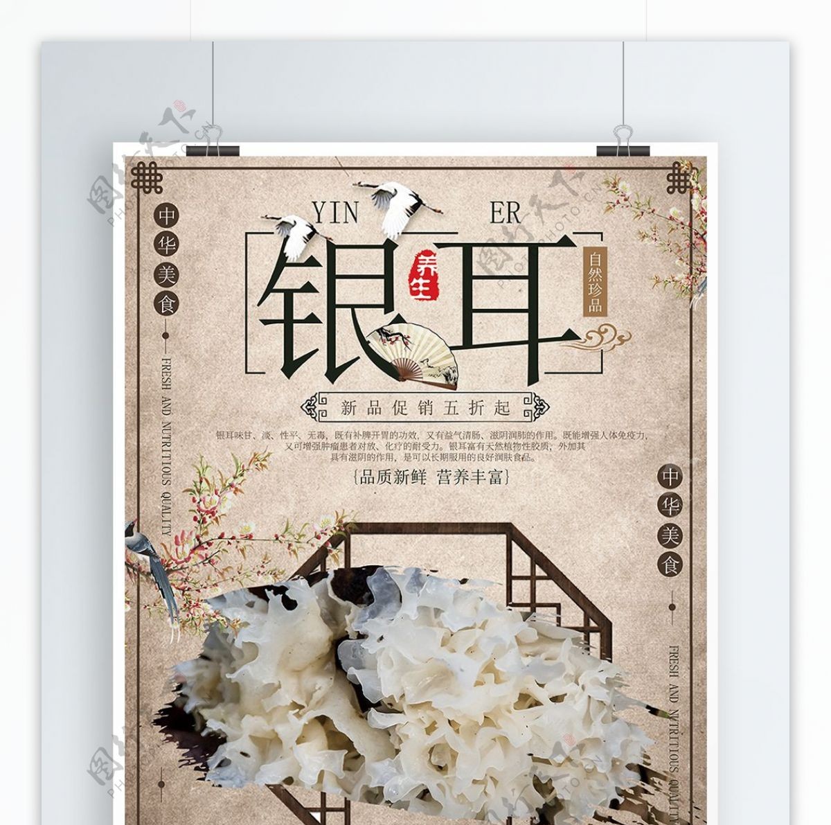 中国风银耳促销食材海报