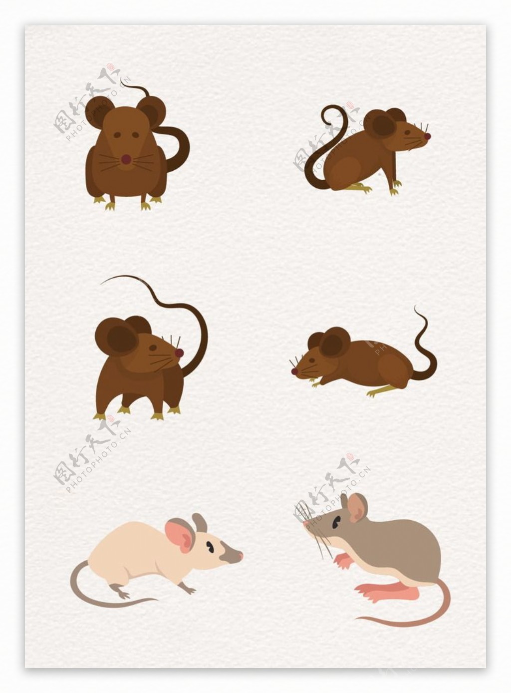 棕色可爱设计老鼠
