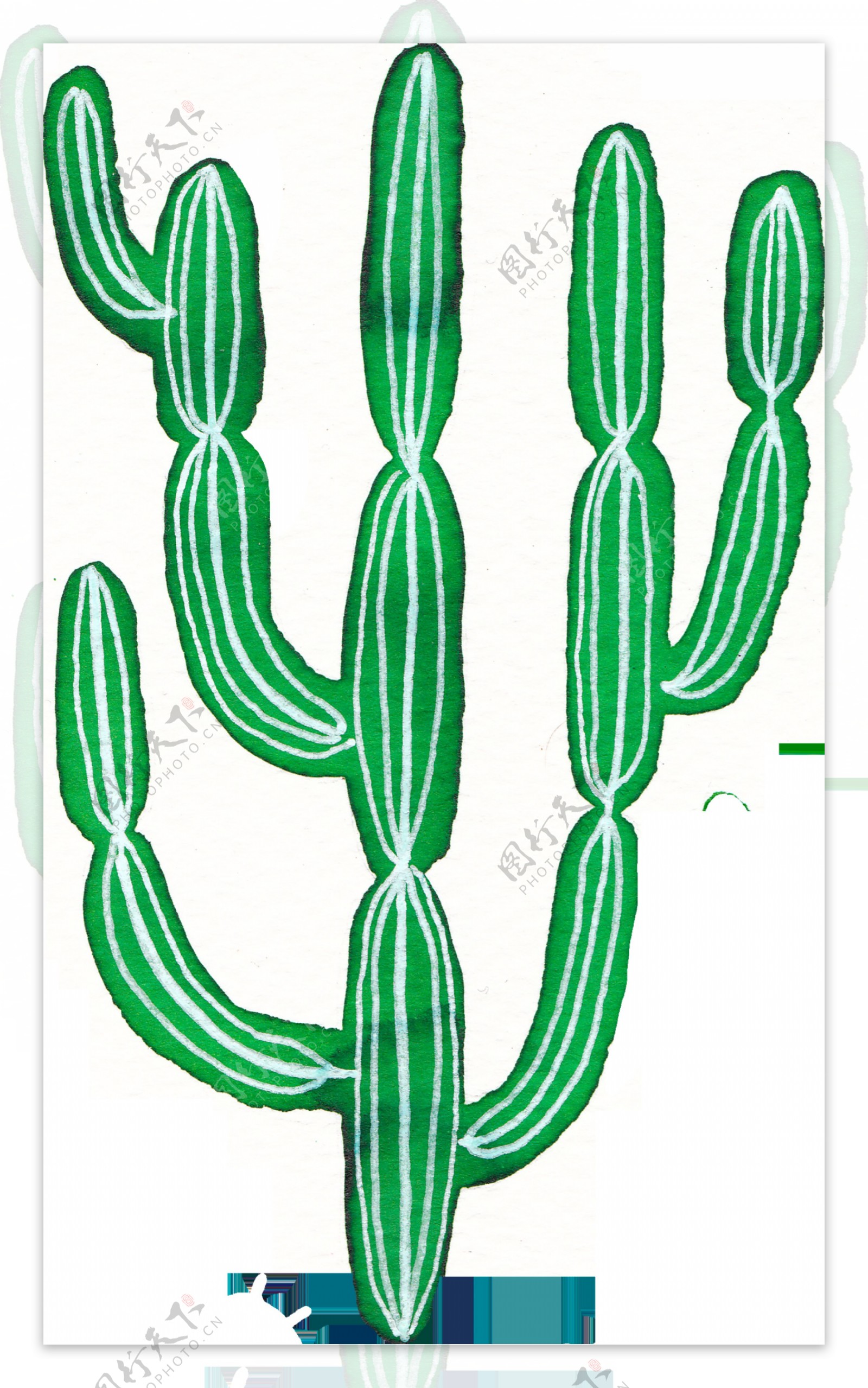 彩绘绿色植物png透明素材